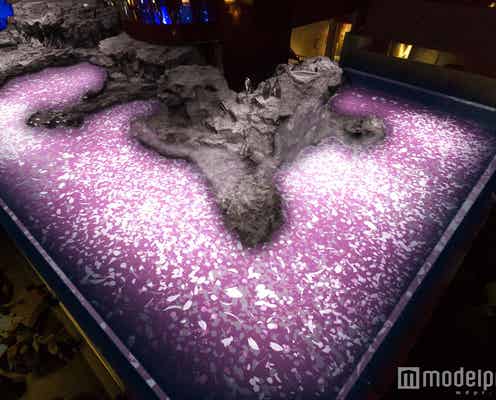 桜舞うプールにペンギンが泳ぎ回る、心弾む春の新プロジェクションマッピング