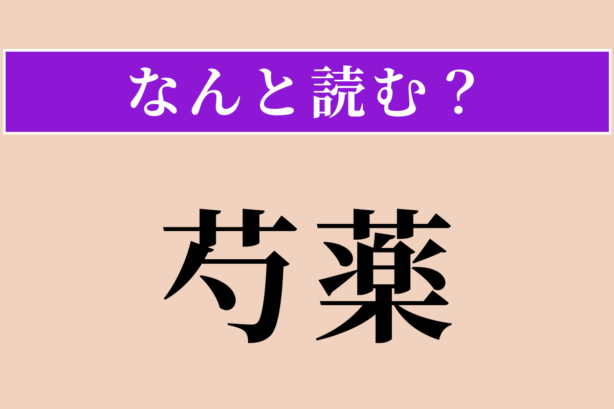 【難読漢字】「芍薬」正しい読み方は？ 豪華絢爛な花です
