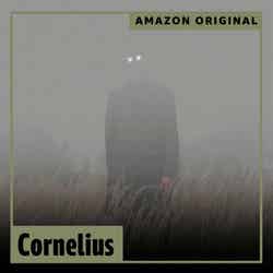 Cornelius （提供写真）