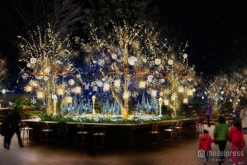 クリスマスの原宿にあたたかなイルミの森が登場