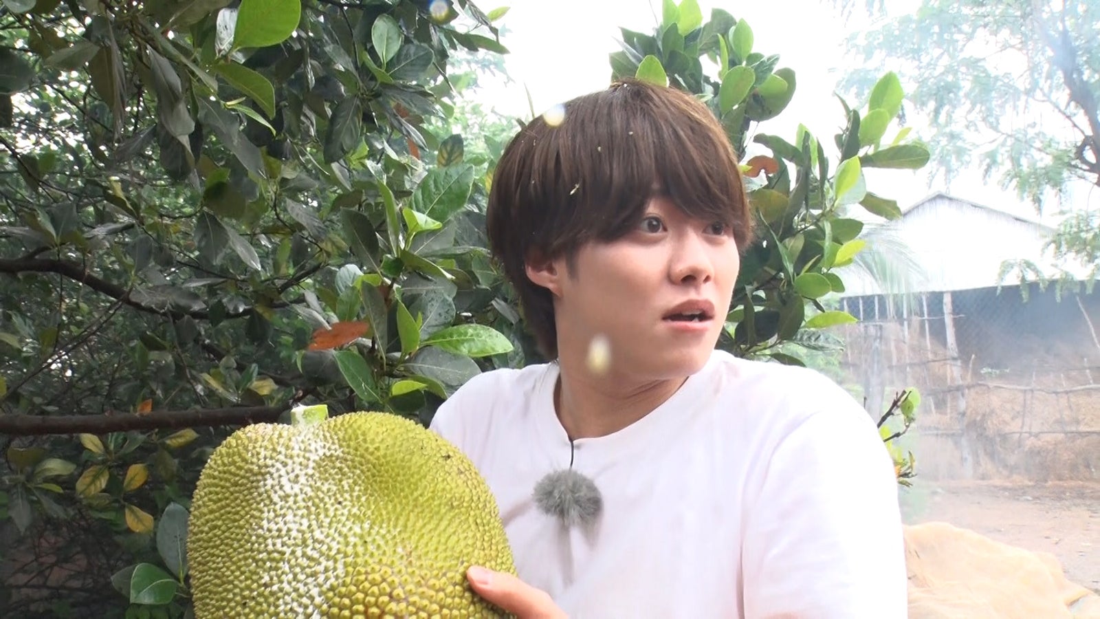 大橋和也（C）日本テレビ