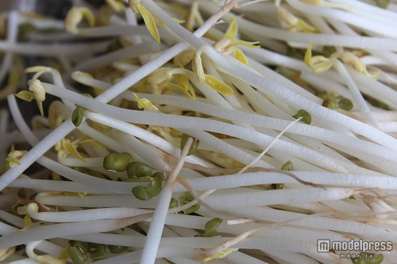 本州で食べるもやしと一味違う久米島の惣慶もやし