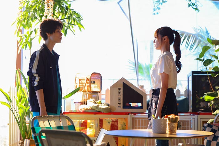 萩原利久、深田恭子「初恋DOGs」(C)TBS