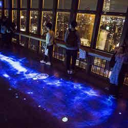 TOKYO TOWER SEA/画像提供:東京タワー