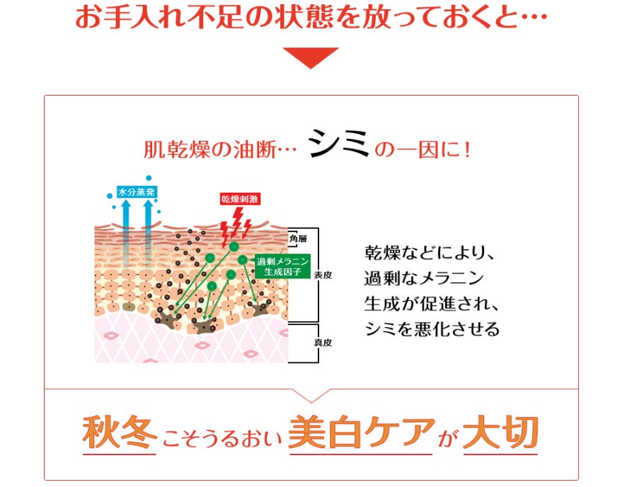 お手入れ不足の状態を放っておくと…