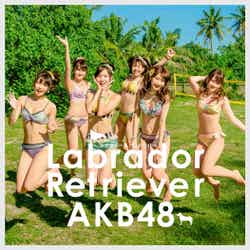 AKB48「ラブラドール・レトリバー」（2014年5月21日発売）Type K 初回限定盤