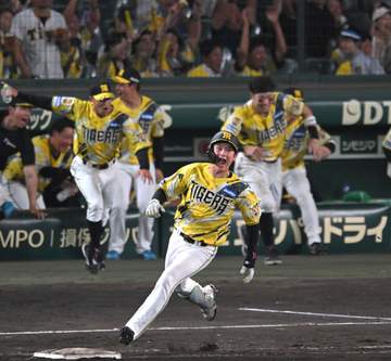 阪神 今季4度目サヨナラ勝ち！高寺が延長11回にプロ初の劇打！藤川監督46歳バースデーを白星で飾る 先発の下村は初勝利ならずも6回1失点