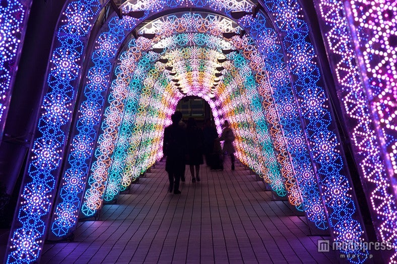 音と光のファンタジーがテーマの華やかイルミが登場 新たな試みも