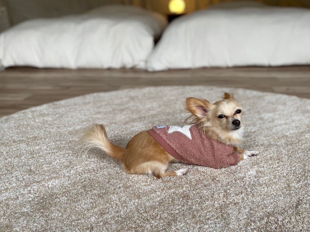 Glamping Spa Sendai 杜 ～KOMOREBI～／画像提供：奥州秋保温泉 蘭亭