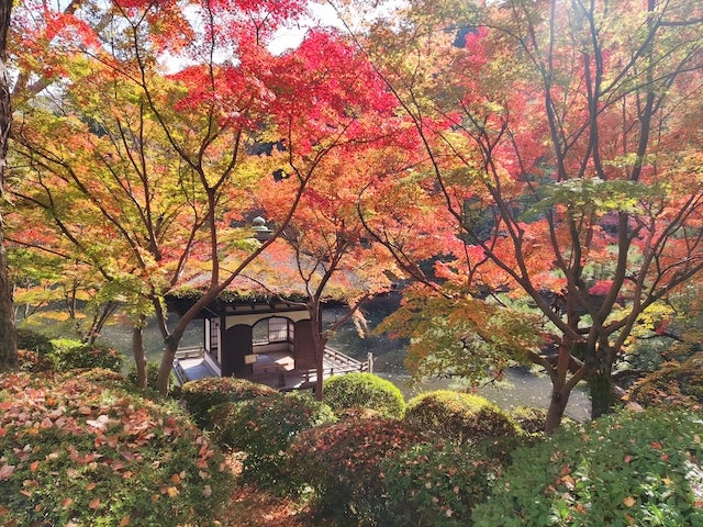 【和歌山】秋しかみられない絶景♡ 地元民や観光客も訪れる「紅葉スポット」