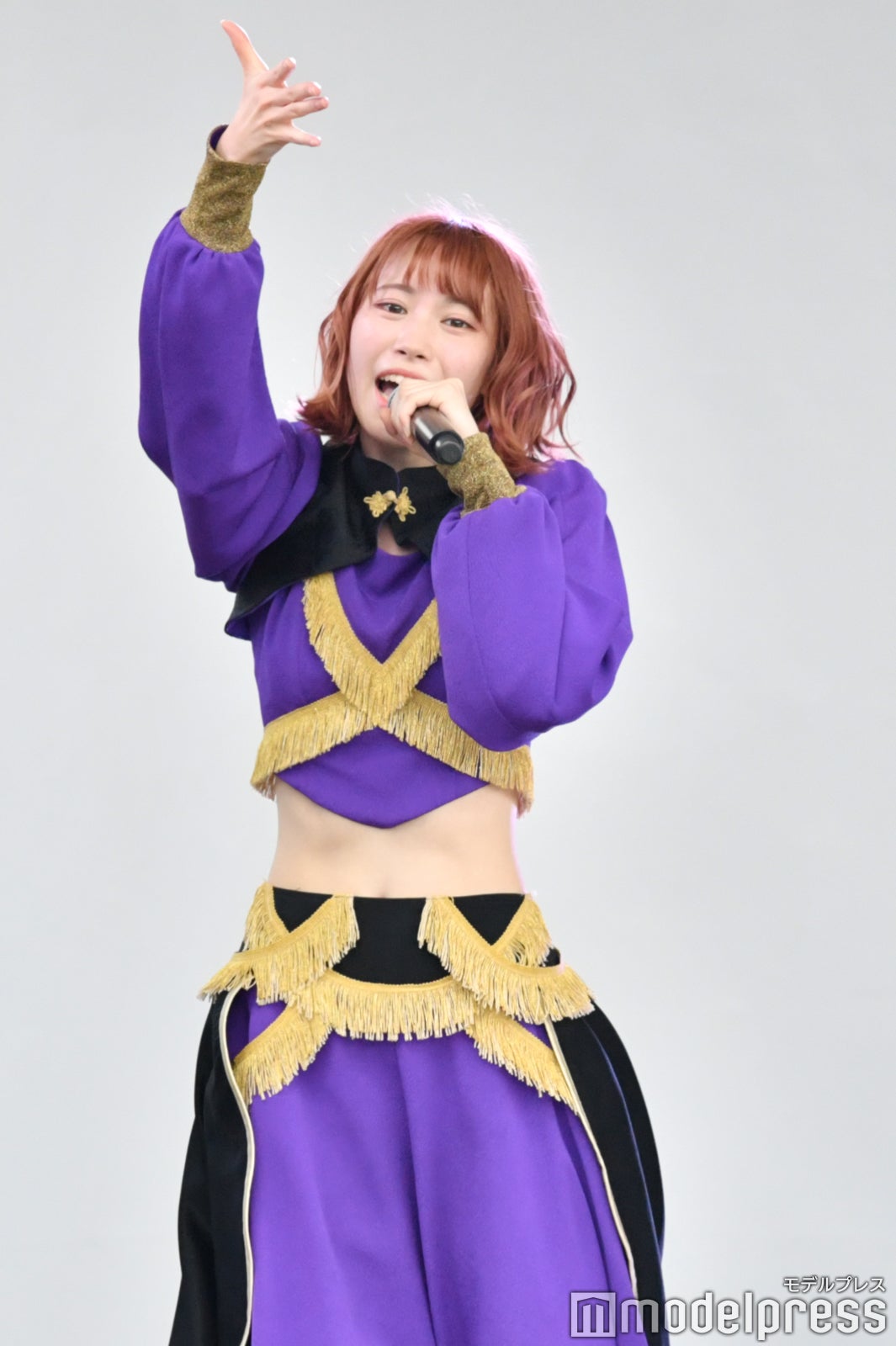 豆柴の大群（C）モデルプレス