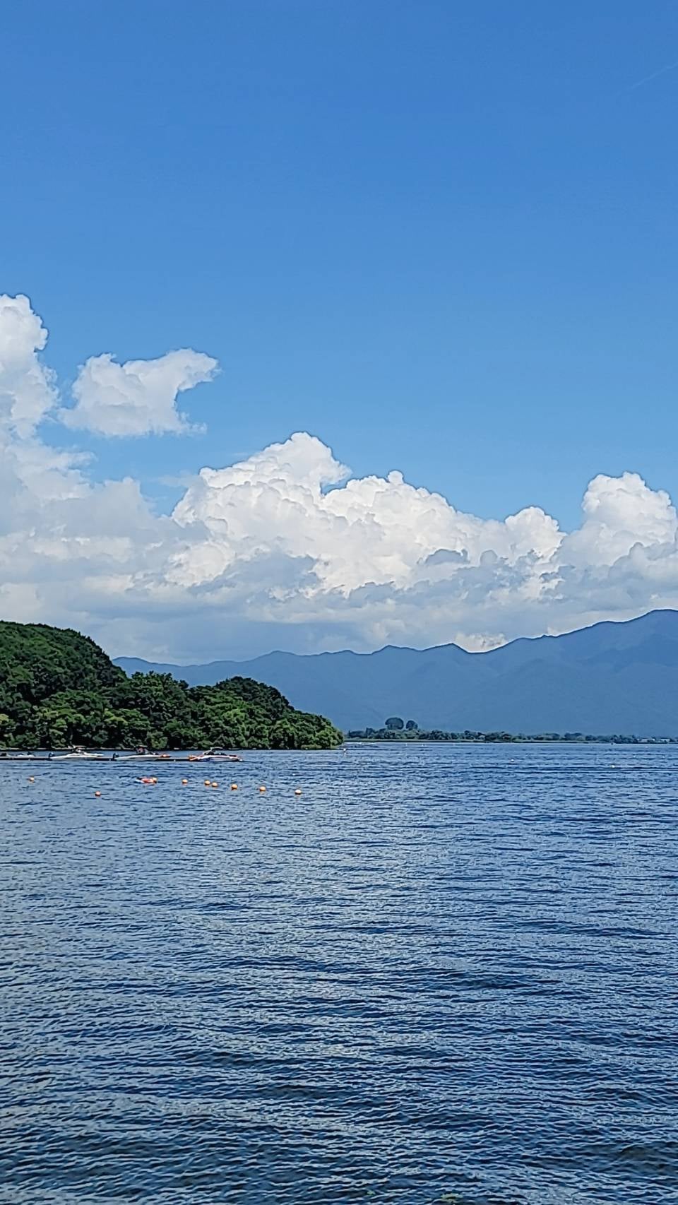 郡司陸永「最高の夏の思い出」（提供写真）