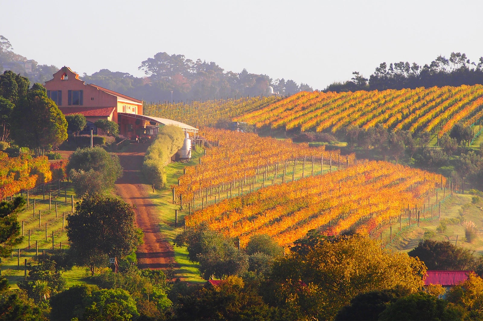 タンタラス・エステート（C）Tantalus