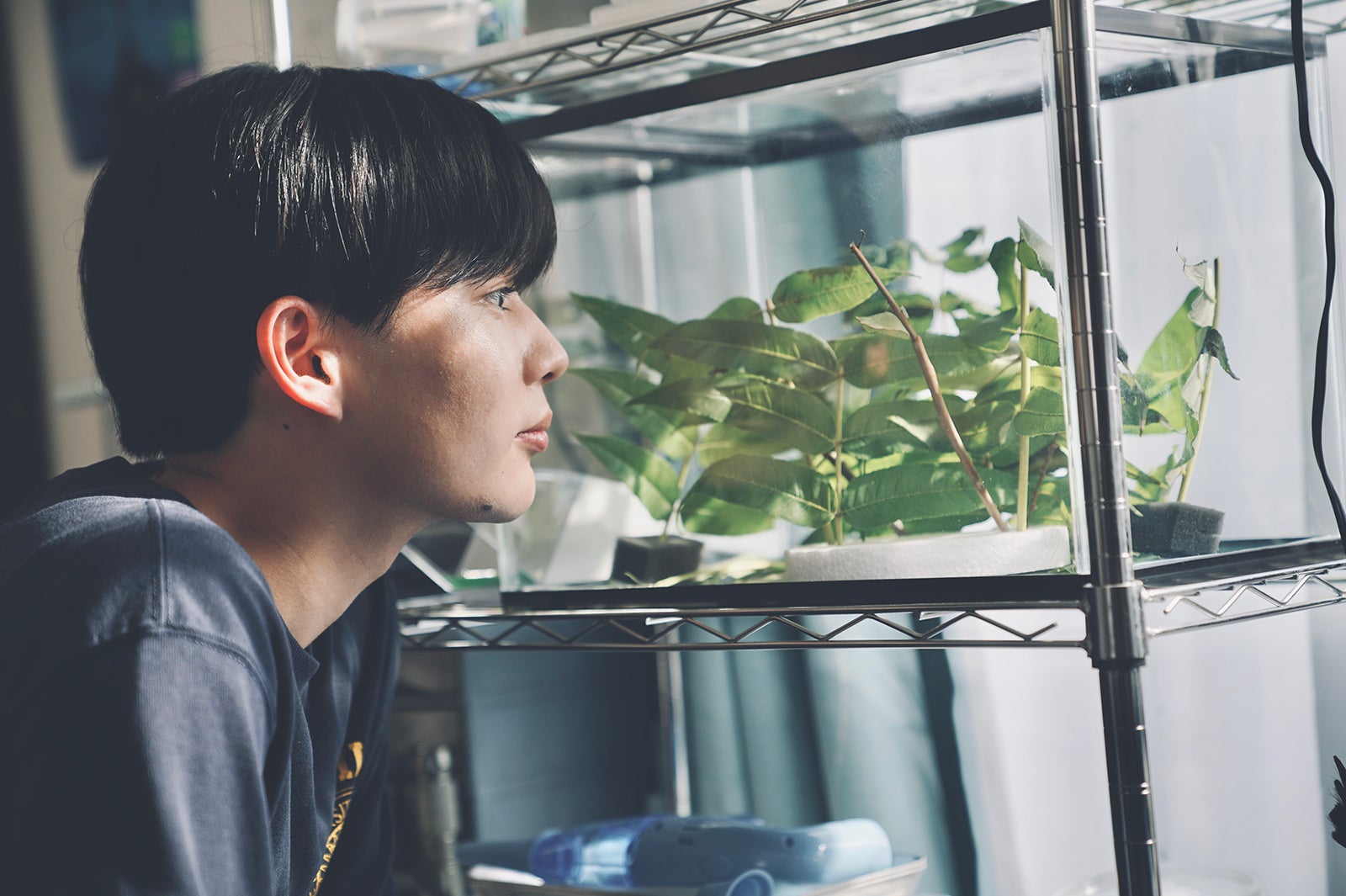 長尾謙杜（C）2025『恋に至る病』製作委員会