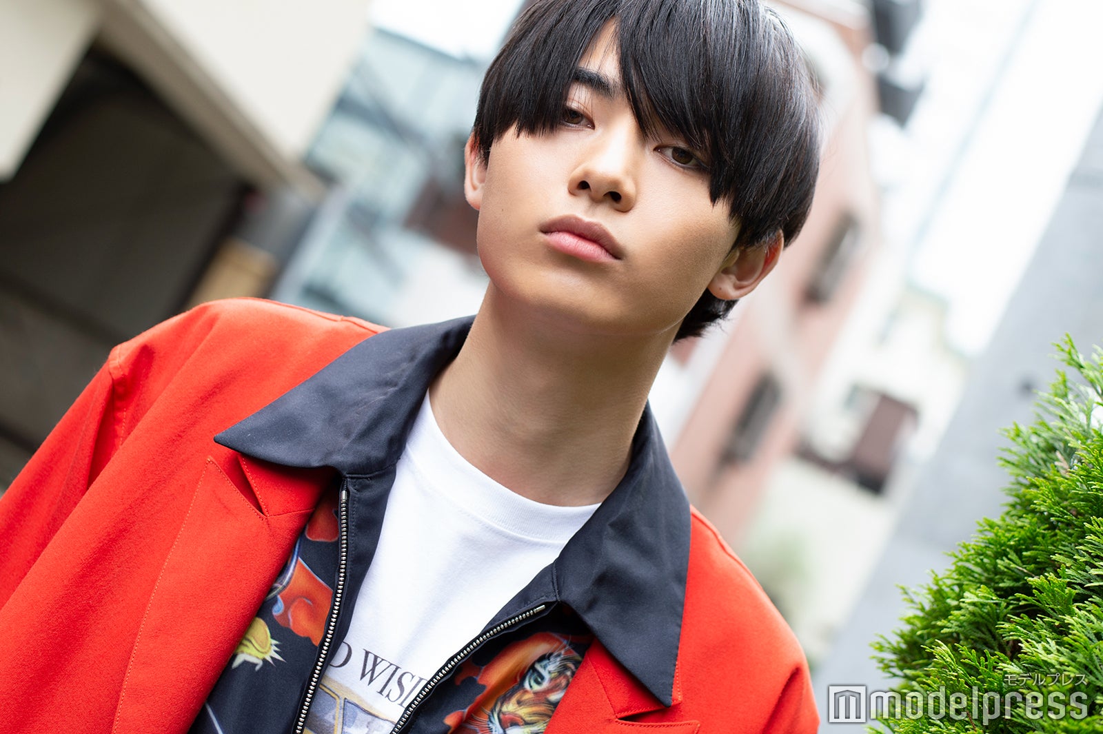 豊田裕大（C）モデルプレス