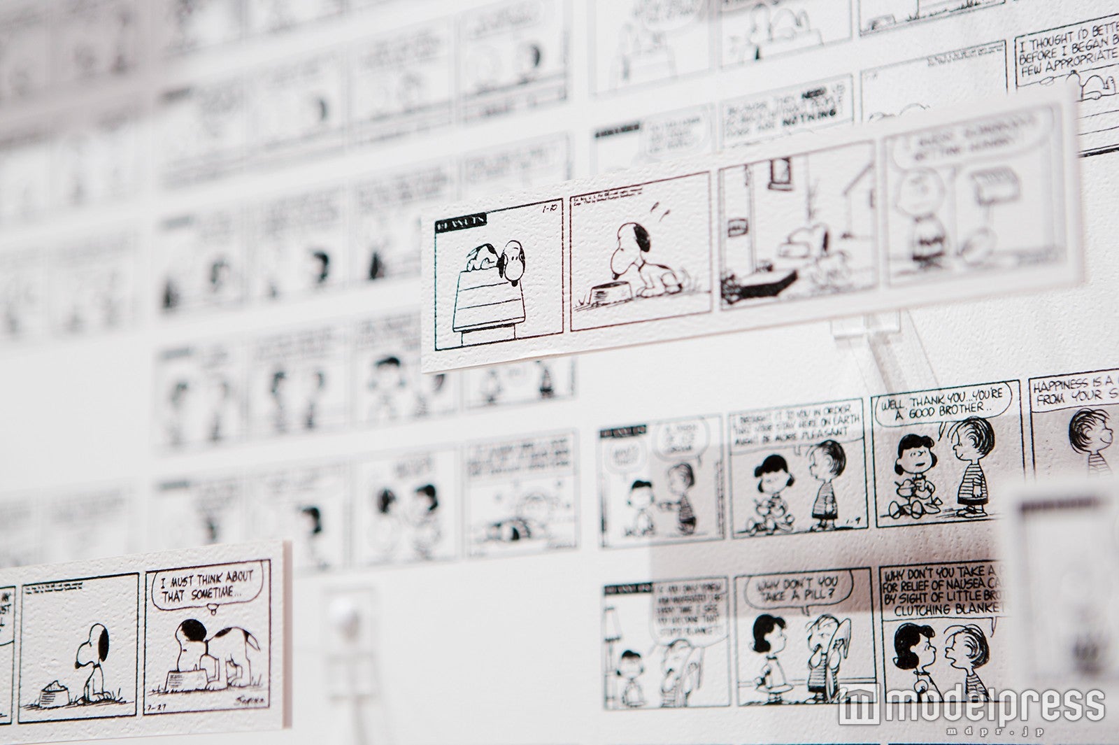 （C）Peanuts Worldwide LLC