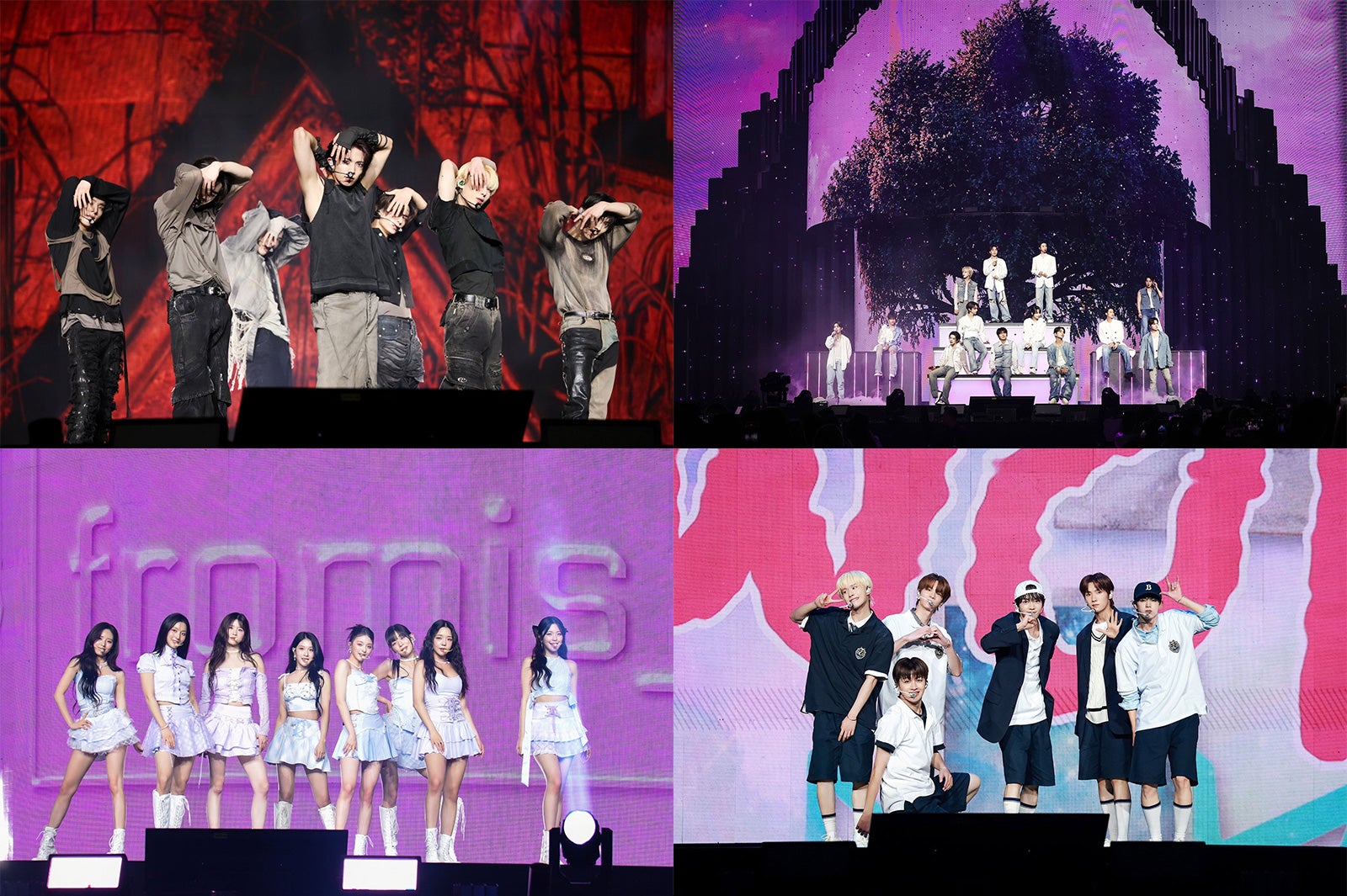 2024 WEVERSE CON FESTIVAL入場者限定トレカ ヨンジェ 45862-335-