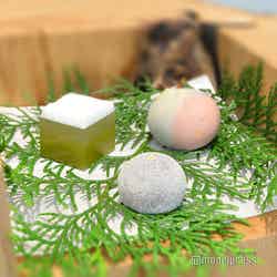 関西パビリオン/和歌山ゾーン(C)モデルプレス