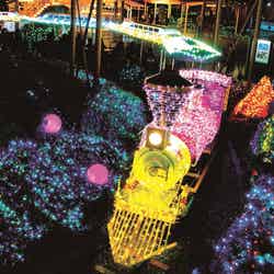 ノームトレイン/画像提供:京阪電気鉄道