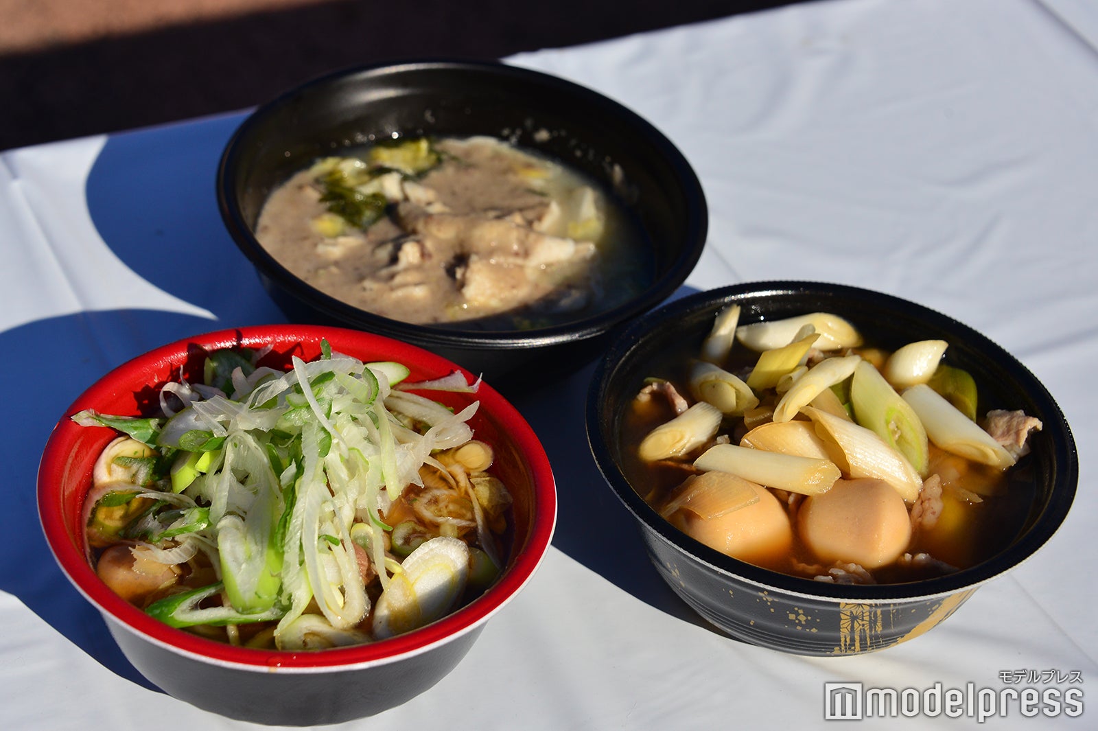 （左下）越後新潟天然鴨ネギ鍋（C）モデルプレス