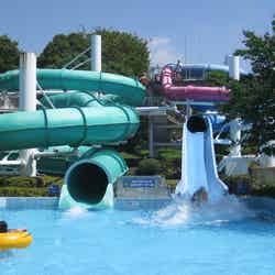 スライダー/画像提供:国営昭和記念公園