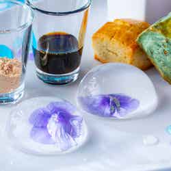 夏のカラフル SUNNY DAY!アフタヌーンティーセット/画像提供:名古屋ヒルトン