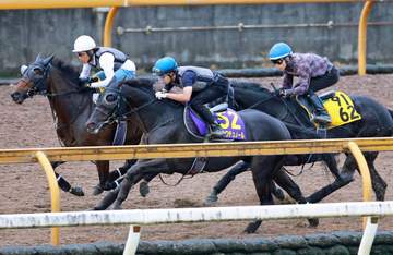 【天皇賞・秋】クロワデュノール闘魂点火 斉藤崇師「全体的にしっかりとやりたかった」と満足げ ひと追いごとに気配上向き