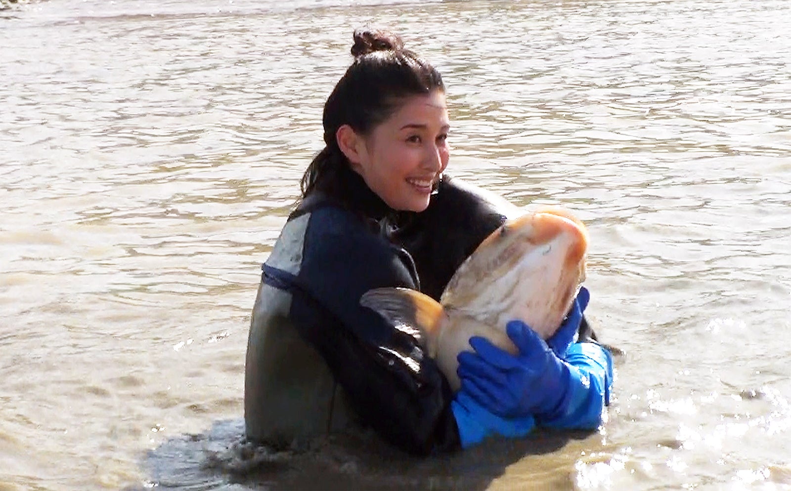 橋本マナミ、巨大魚捕獲に成功「池の水ぜんぶ抜く」史上最大プロジェクト参戦