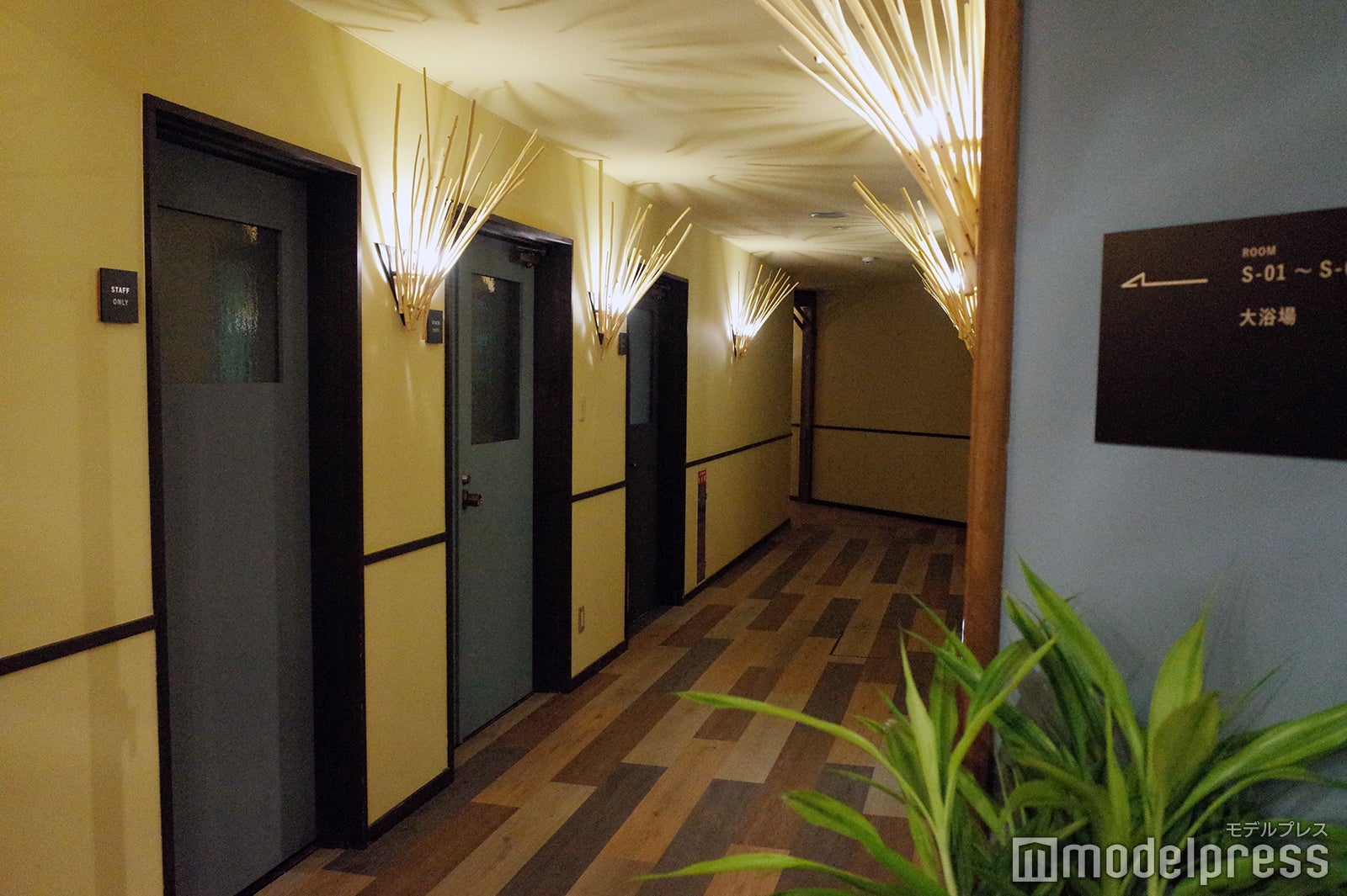 ミューの森（C）モデルプレス