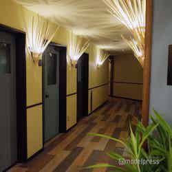 ミューの森(C)モデルプレス