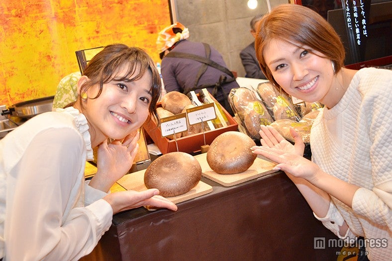 「プレミアム椎茸 天恵菇（てんけいこ）」（協同組合 日本茸師の会）