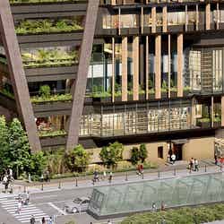 低層部緑地/提供:三菱地所