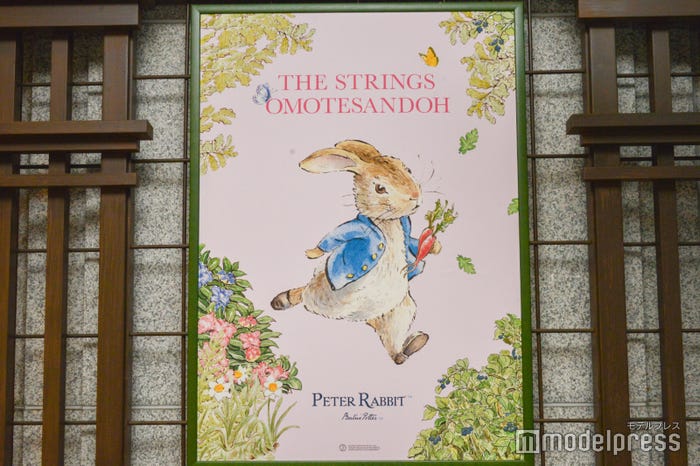 フォトジェニックな空間が広がる(C)モデルプレス