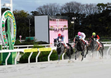 兵庫ゴールドTを勝ったハッピーマンの次走はフェブラリーSを予定