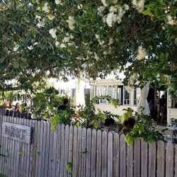 隠れ家的なたたずまいの「パドックベーカリー」(参加者撮影)