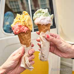 さっぱりした後味で美味しいジェラート(C)モデルプレス