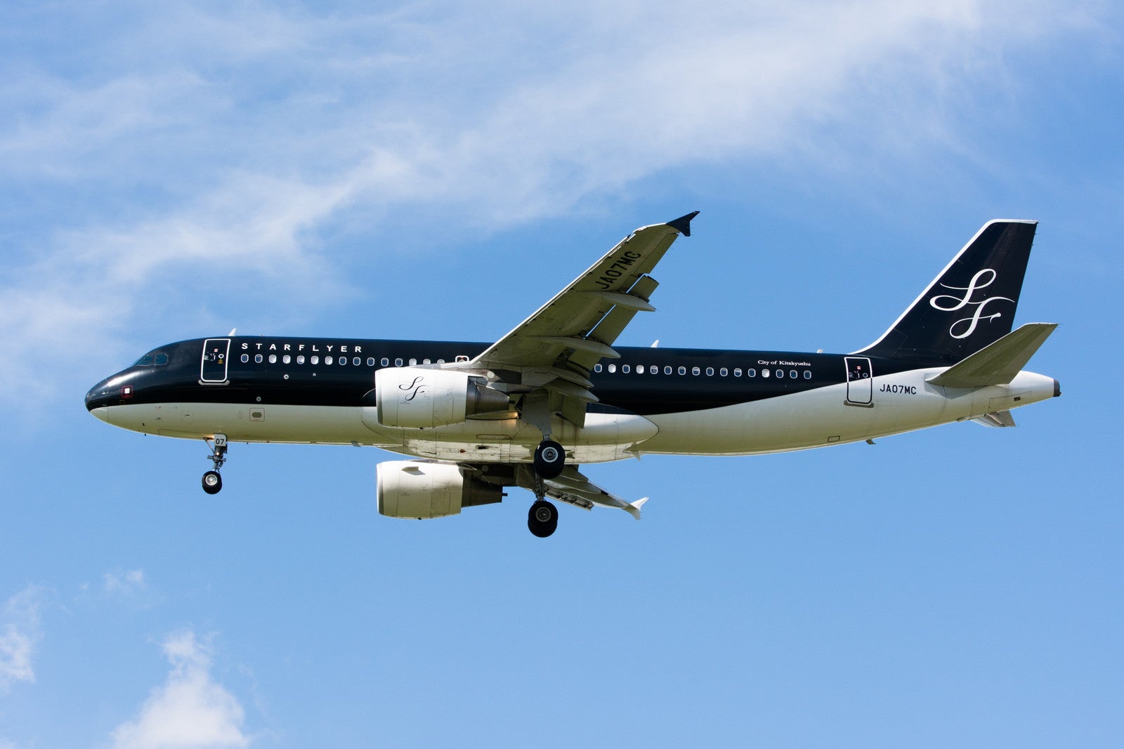 機内ペット同伴フライト、スターフライヤー国内線全路線で拡大運航