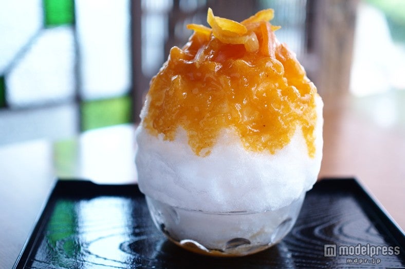 全国の美味しいかき氷が東京に集結 “天然氷”使用のレアメニューも