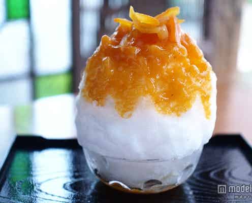 全国の美味しいかき氷が東京に集結 “天然氷”使用のレアメニューも