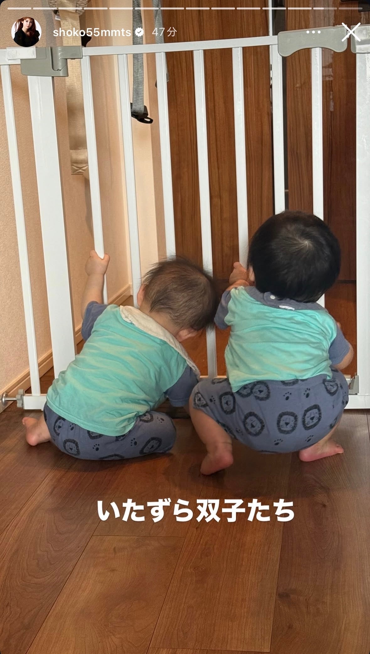 中川翔子Instagramストーリーズより