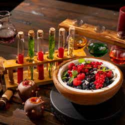 「魔法使いの学校」スイーツ&ランチビュッフェ/画像提供:ヒルトン東京