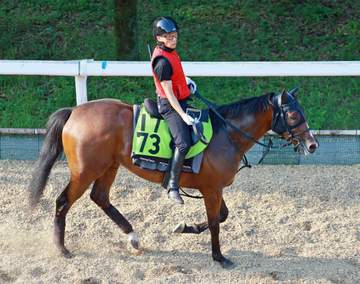 【新馬戦】ベルコート 良血馬がお披露目 福永師も自信「スピードある。期待している」