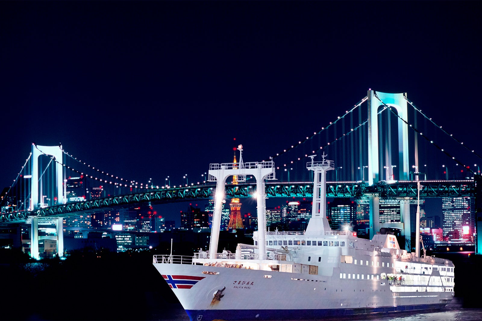 東京湾納涼船／画像提供：東海汽船