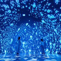 ワンダリア横浜/提供画像