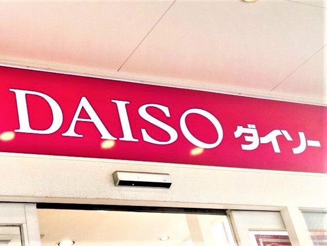 バッグの中身が見違える！【ダイソー】“収納アイテム”使ってみたら「整頓しやすい」「何個か欲しい」