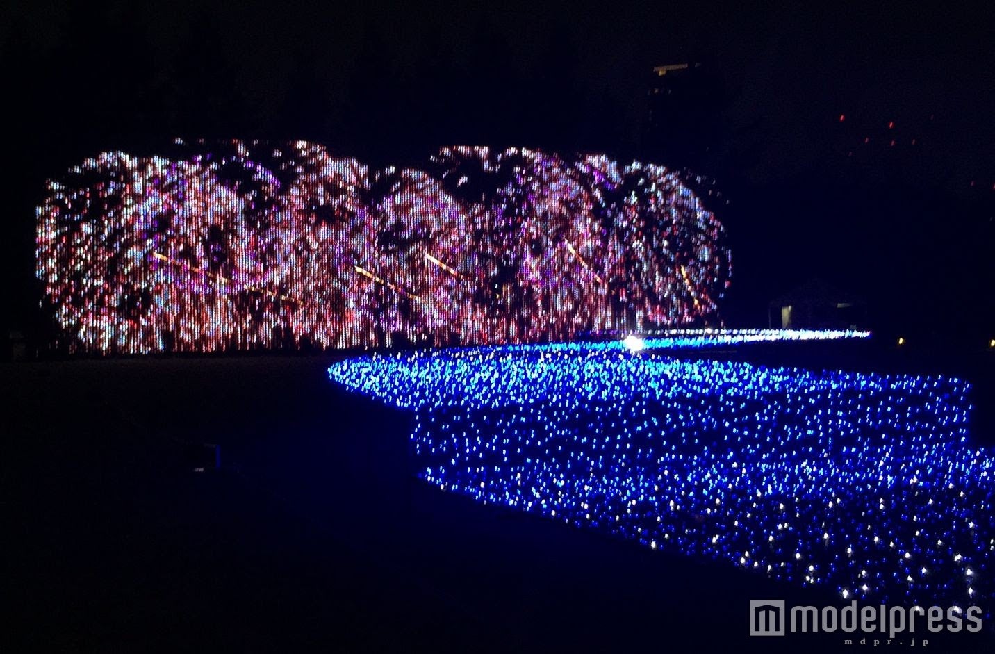 SUMMER LIGHT GARDEN／画像提供：東京ミッドタウン