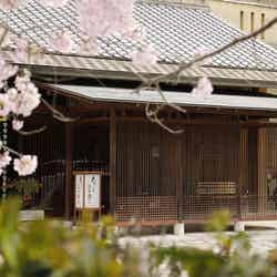 茶兎里/提供画像