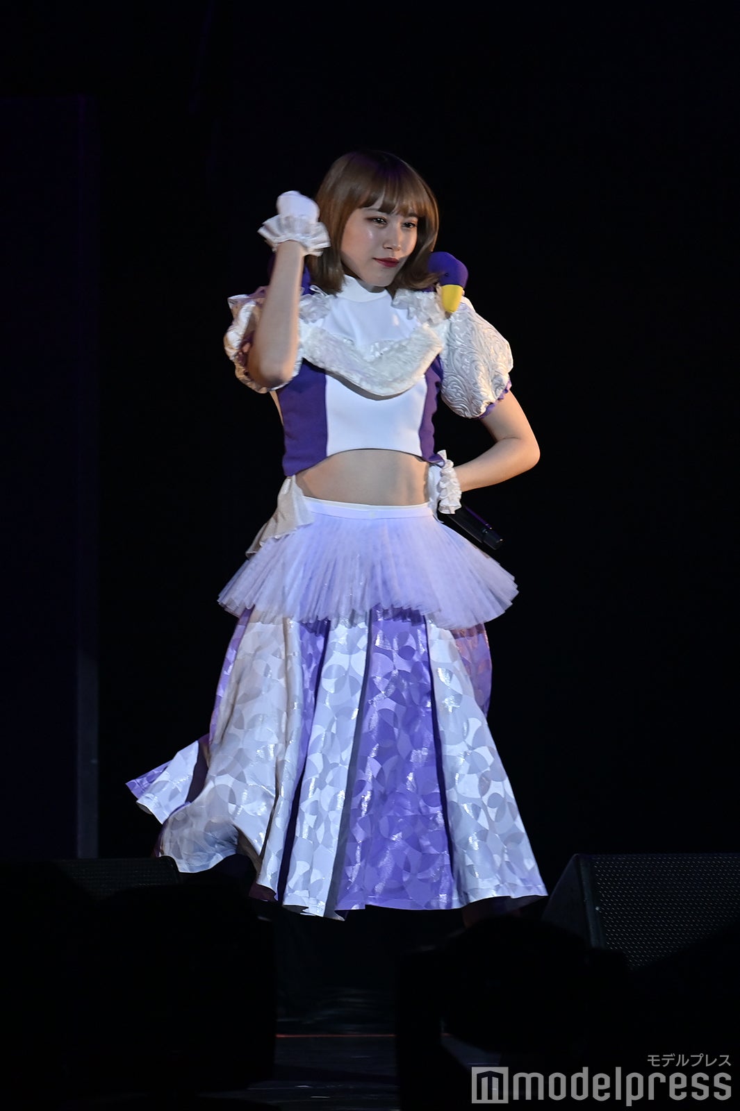 豆柴の大群（C）モデルプレス