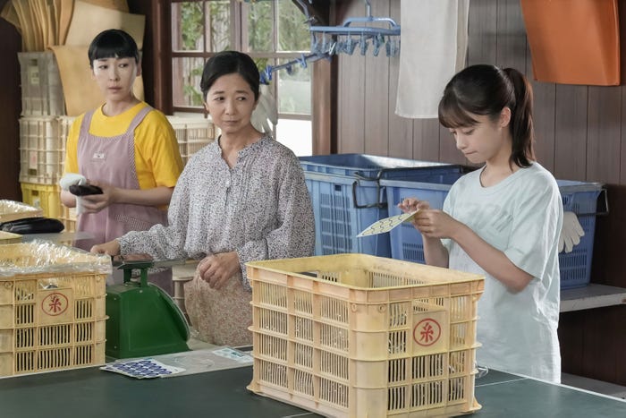 麻生久美子、宮崎美子、橋本環奈「おむすび」第26話(C)NHK