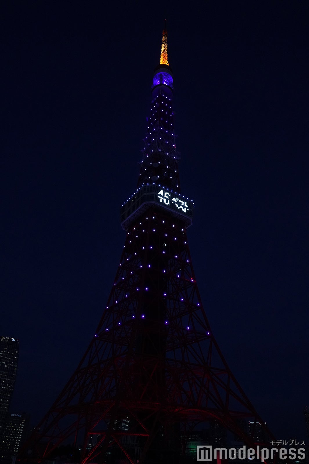 乃木坂46カラーの東京タワー（C）モデルプレス
